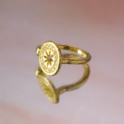 Anillo B1 Plata Dorada y Circonitas Blancas