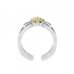 Anillo Bayona Plata y Eguzkilore Dorado