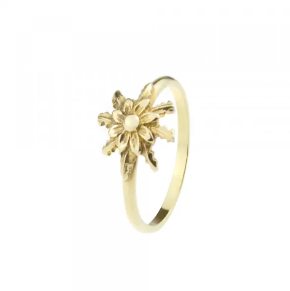 Anillo Eguzkilore Clásico Oro Talla 12
