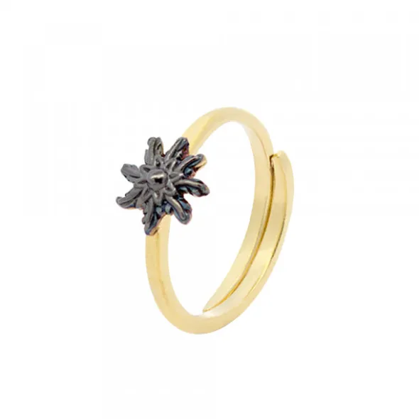 Anillo Ghor Plata Dorada y Eguzkilore Rutenio