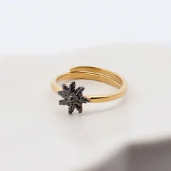 Anillo Ghor Plata Dorada y Eguzkilore Rutenio