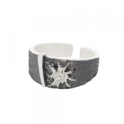 Anillo Grande Flysch Plata
