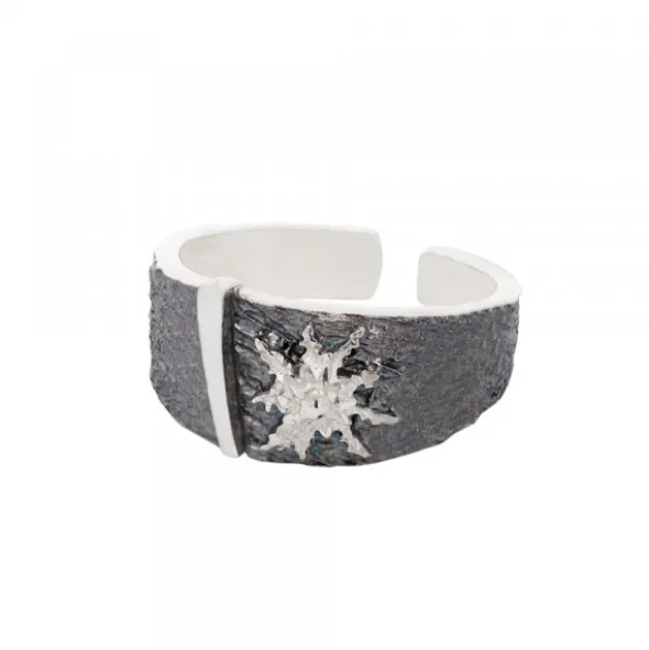 Anillo Grande Flysch Plata