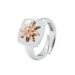 Anillo Q2 Plata y Eguzkilore Rosa