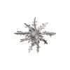 Broche Eguzkilore de Plata 38mm