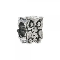 Charm Búho de La Suerte de Plata