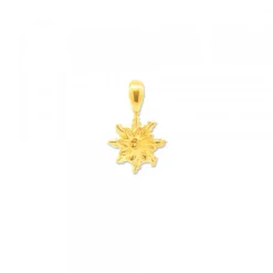Colgante Eguzkilore Plata Dorada 9mm