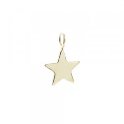 Colgante Estrella de Plata Dorada