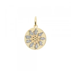 Colgante Medalla Eguzkilore Plata Dorada 13mm