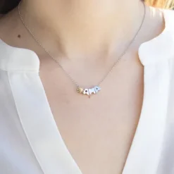 Gargantilla Ama Iniciales Plata con Motivo a Elegir