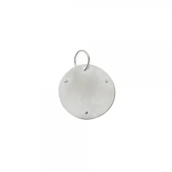 Medalla Eguzkilore Oro Blanco 15mm