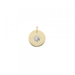 Medalla Oro y Eguzkilore Central Oro Blanco 12mm