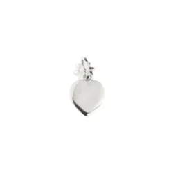 Mini Colgante Corazón y Eguzkilore Plata