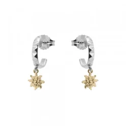 Pendientes Aiora de Plata