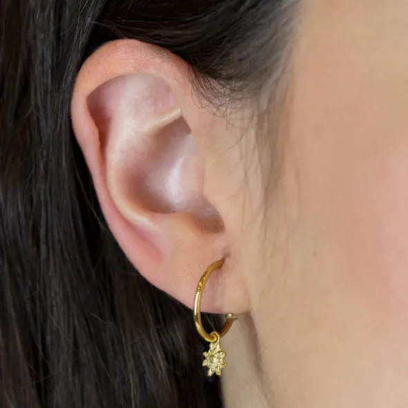 Pendientes Aro Eguzkilore Plata Dorada 15mm
