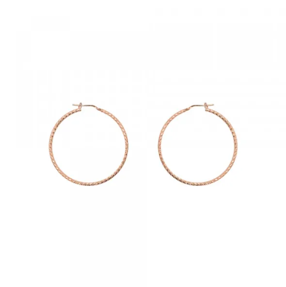 Pendientes Aro Entorchado Plata Rosa 20mm