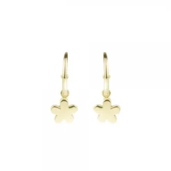 Pendientes Aro Flor de Plata Dorada