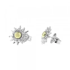 Pendientes Eguzkilore Bicolor