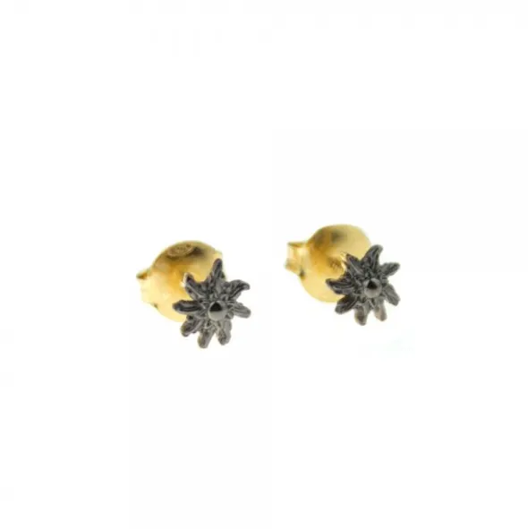 Pendientes Eguzkilore Plata Dorada y Rutenio