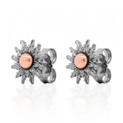 Pendientes Eguzkilore Rutenio y Rosa 14mm