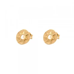 Pendientes Etruscos Mountain Plata Dorada