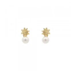 Pendientes Tú y Yo Plata Dorada y Perla 5mm