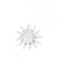 Pin Eguzkilore Plata