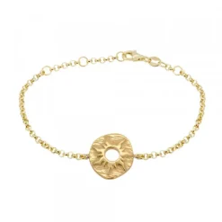 Pulsera Chapa Etrusca Mountain Plata Dorada